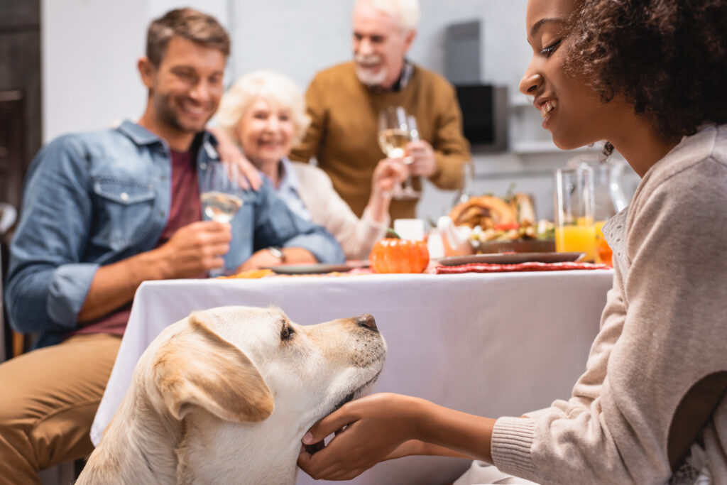 Thanksgiving and your pets