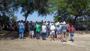 Volunteers, SCDNR build oyster reef on Lady's Island