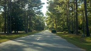 Community Spotlight:  Royal Pines