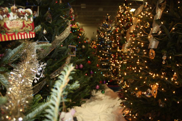 Celebrate the Season with the Festival of Trees