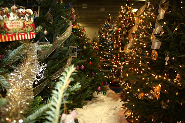 27th Annual Festival of Trees benefits Friends of Caroline Hospice