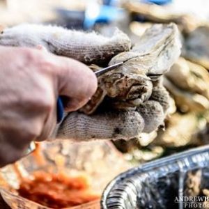 A Lowcountry Oyster Roast