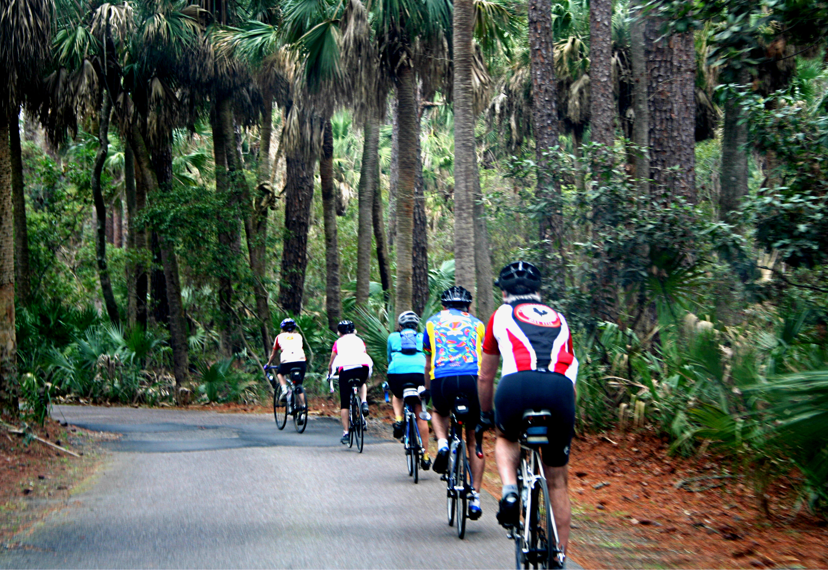 Hunting Island offers lots of options. Bicycling, hiking along one of the trails, going for a challenging run on the beach or even taking a stroll while searching for shells