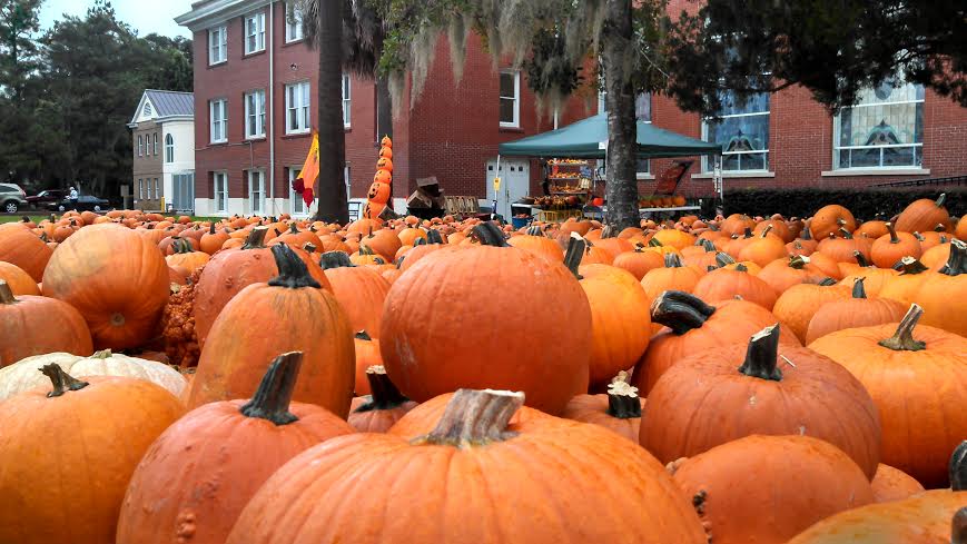 Lot of fall fun all October long in downtown Beaufort. ESPB photo: Carteret Street United Methodist Church Pumpkin Patch