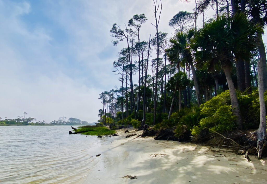 Seven wonders of Hunting Island Beach
