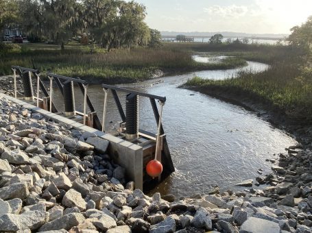 mossy oaks stormwater tess