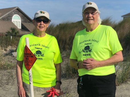 turtle team seabrook feat