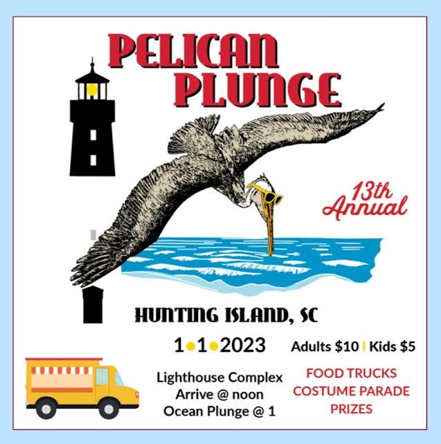 Pelican Plunge Hunting Island 2023