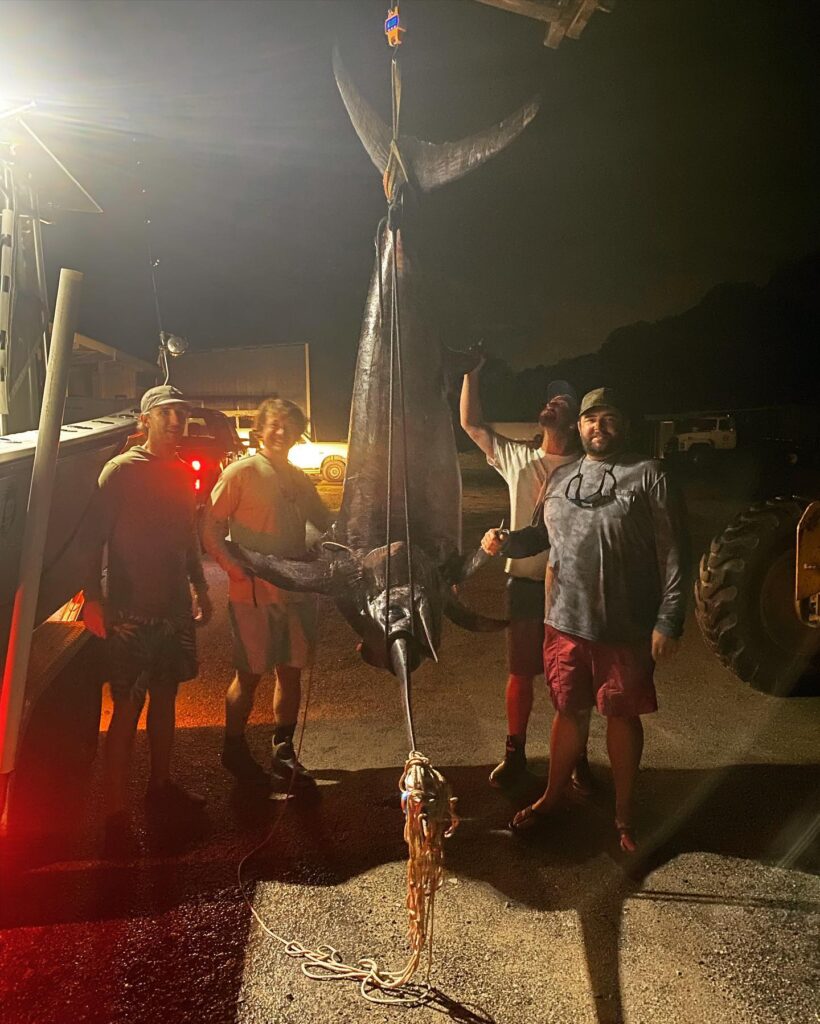 Beaufort, South Carolina anglers reel in 490-pound monster swordfish